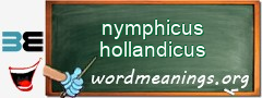 WordMeaning blackboard for nymphicus hollandicus